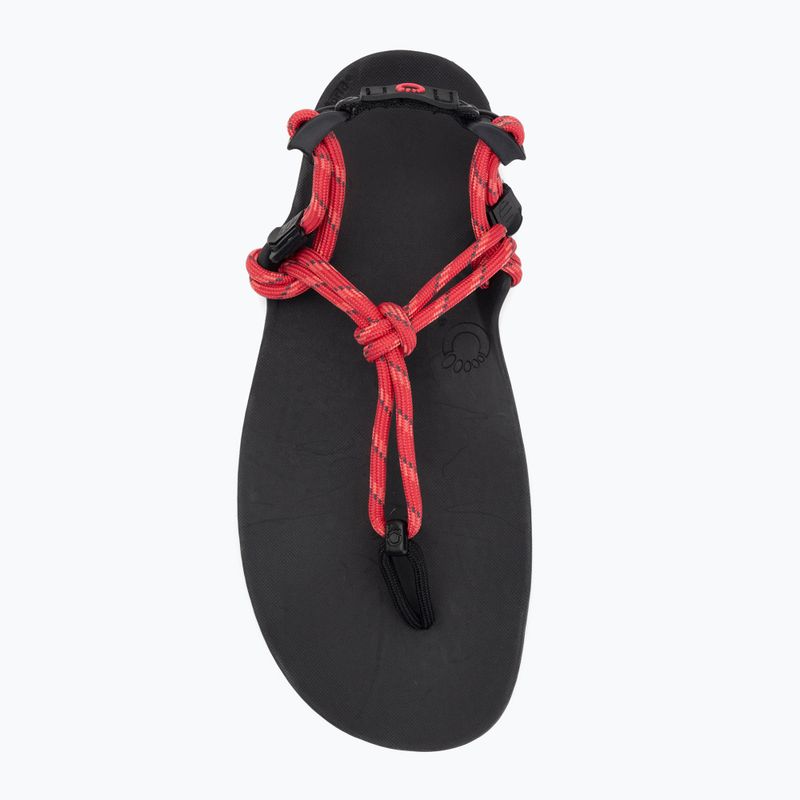 Sandale barefoot pentru femei Xero Shoes Genesis raspberry 5