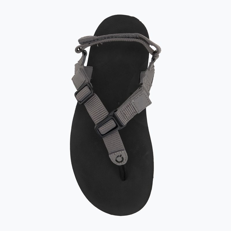 Sandale barefoot pentru bărbați Xero Shoes H-Trail steel gray/blue/lolite steel gray/blue/iolite 5