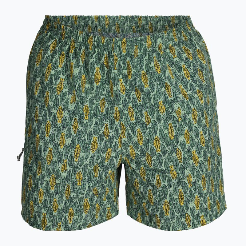 Pantaloni de trekking pentru bărbați Royal Robbins All-In algae flash pt