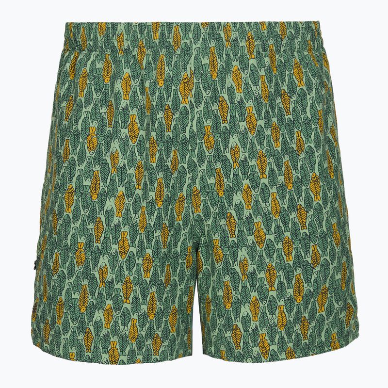 Pantaloni de trekking pentru bărbați Royal Robbins All-In algae flash pt