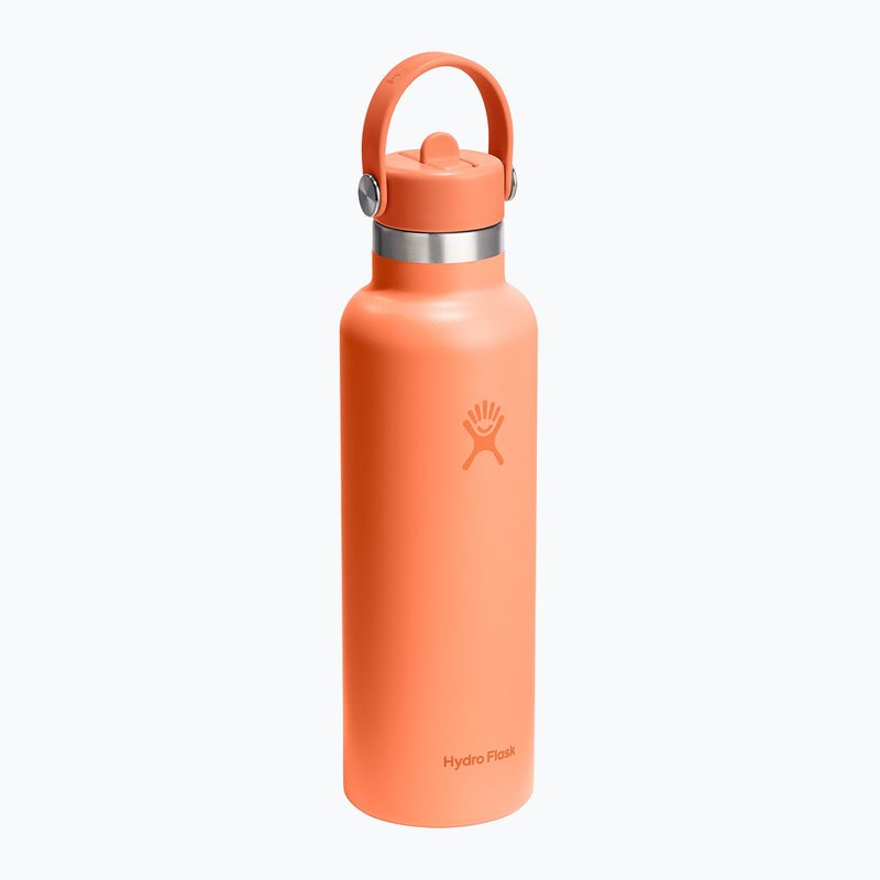 Sticlă termică Hydro Flask Standard Flex Straw 620 ml nectar 2