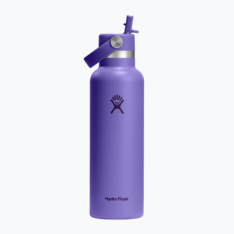 Sticlă termică Hydro Flask Standard Flex 621 ml utopia purple