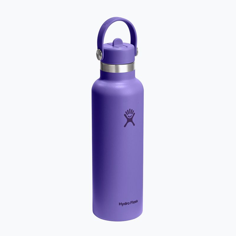 Sticlă termică Hydro Flask Standard Flex 621 ml utopia purple 2