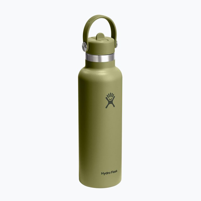 Sticlă termică Hydro Flask Standard Flex 621 ml palmer green 2