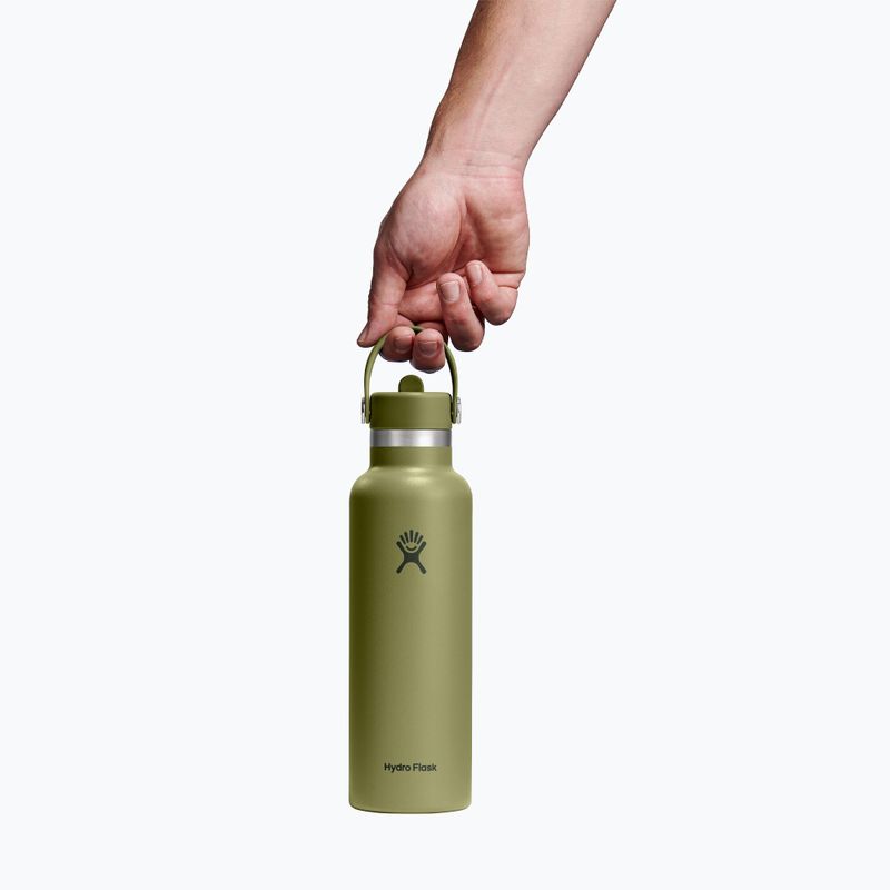 Sticlă termică Hydro Flask Standard Flex 621 ml palmer green 3