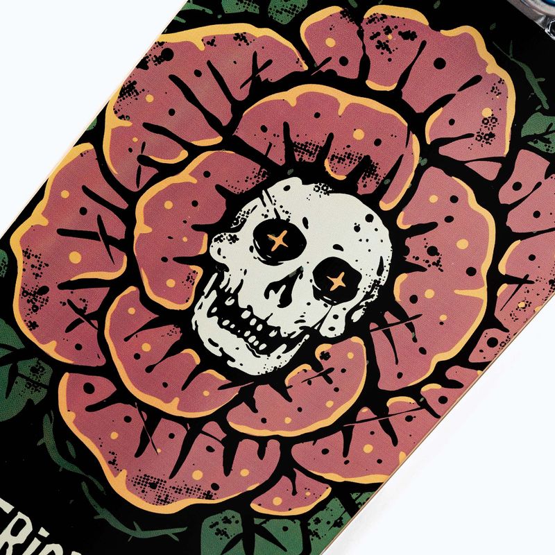 Skateboard clasic Tricks Rose complet TRCO0022A004 8