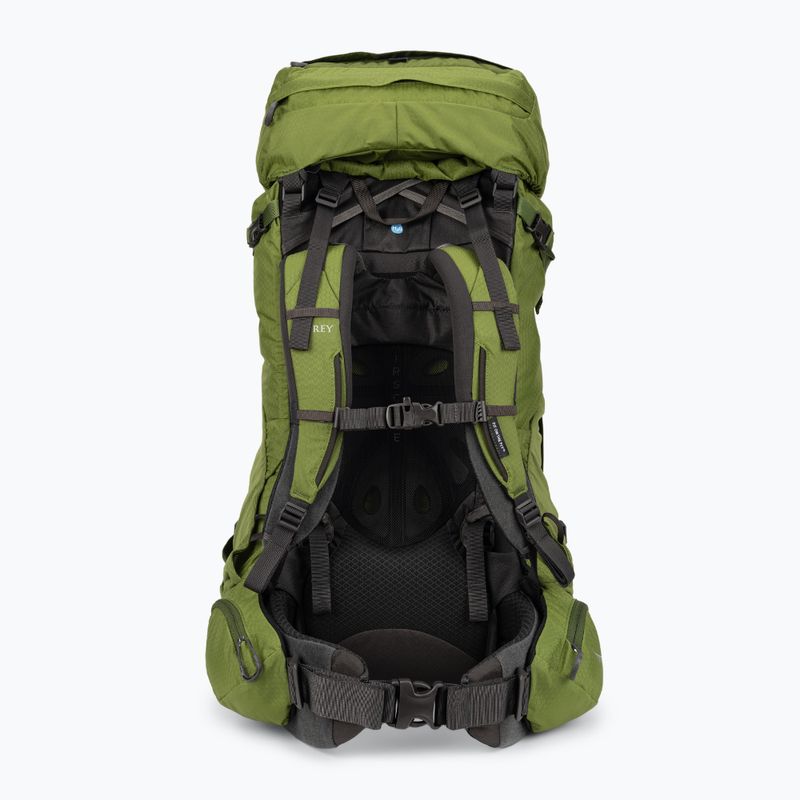 Rucsac de trekking pentru bărbați Osprey Aether 65 l usturoi muștar verde muștar 3