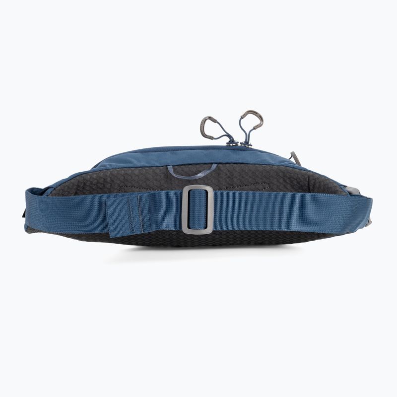Osprey Daylite Waist Waist 2L sac de rinichi albastru marin 10003247 4