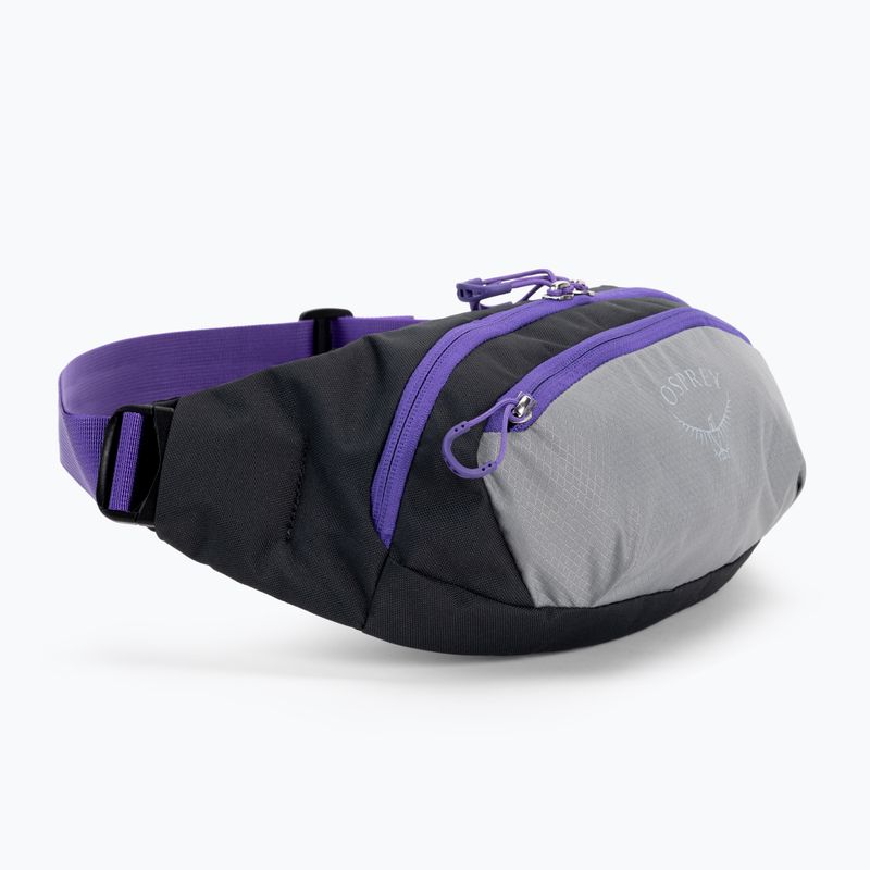 Sac de rinichi Osprey Daylite Waist 2L gri-violet 10004202