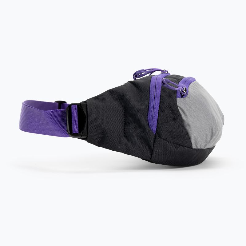 Sac de rinichi Osprey Daylite Waist 2L gri-violet 10004202 2