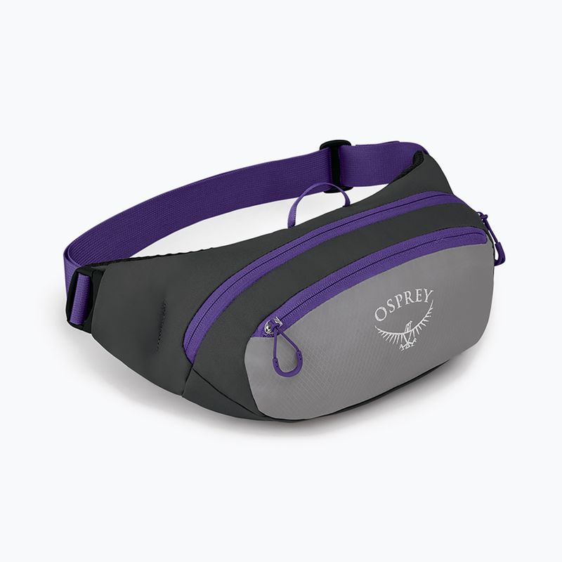 Sac de rinichi Osprey Daylite Waist 2L gri-violet 10004202 8