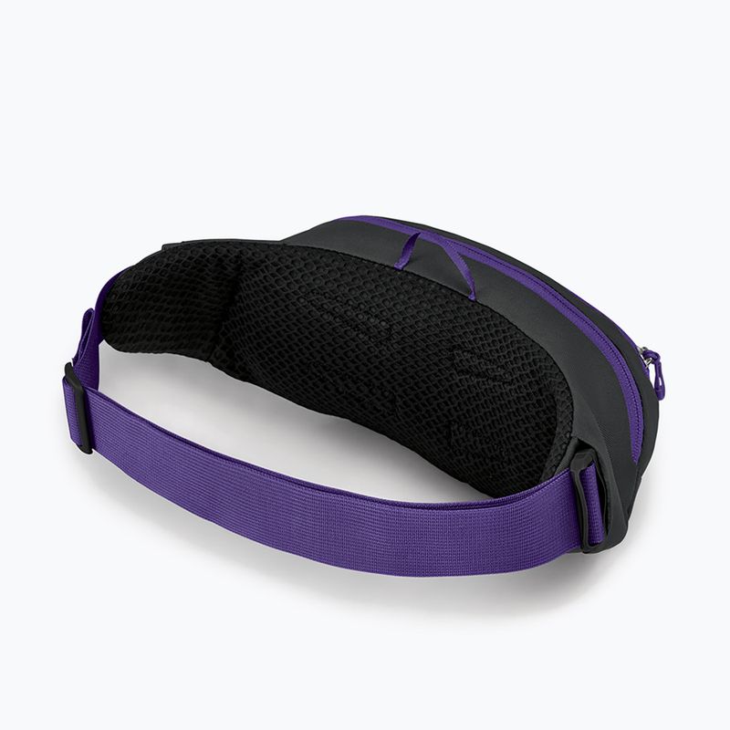 Sac de rinichi Osprey Daylite Waist 2L gri-violet 10004202 10