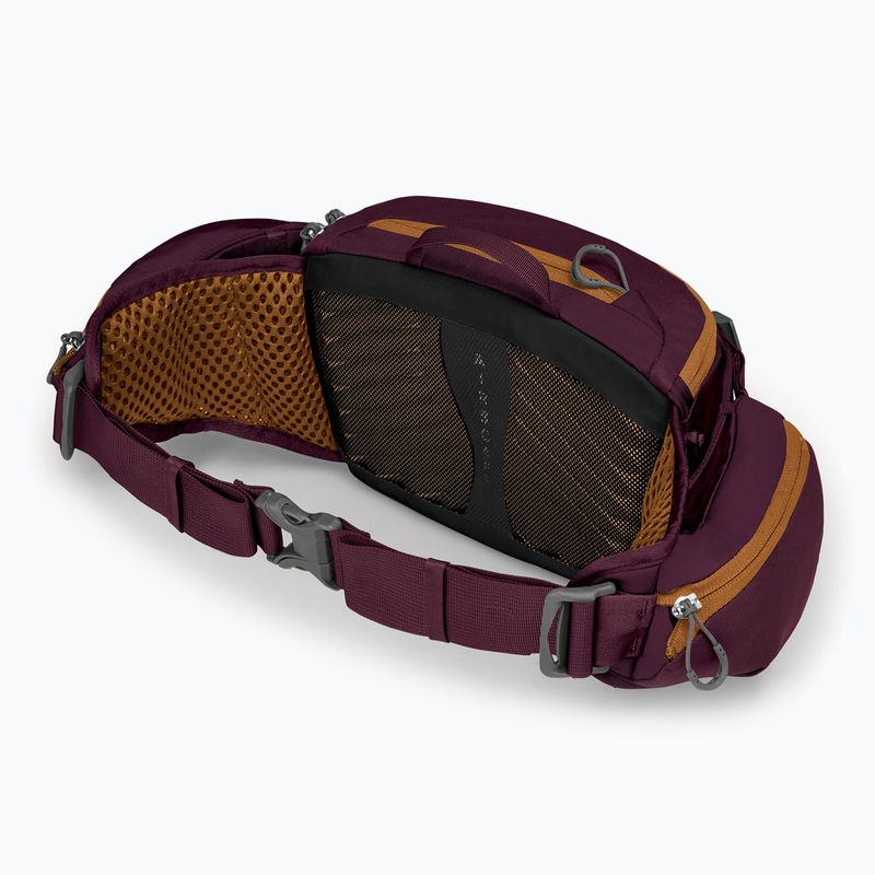 Borsetă de ciclism Osprey Savu 5 aprium purple 4