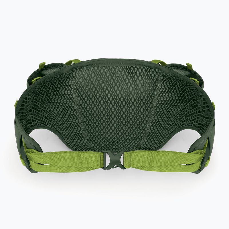 Osprey Duro Dyna 2 l verde alge marine/limon pungă pentru rinichi 3