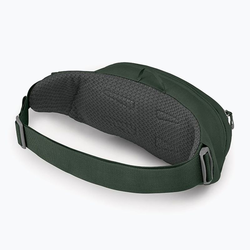 Borsetă Osprey Daylite Waist 2 l green bely/green canopy 3