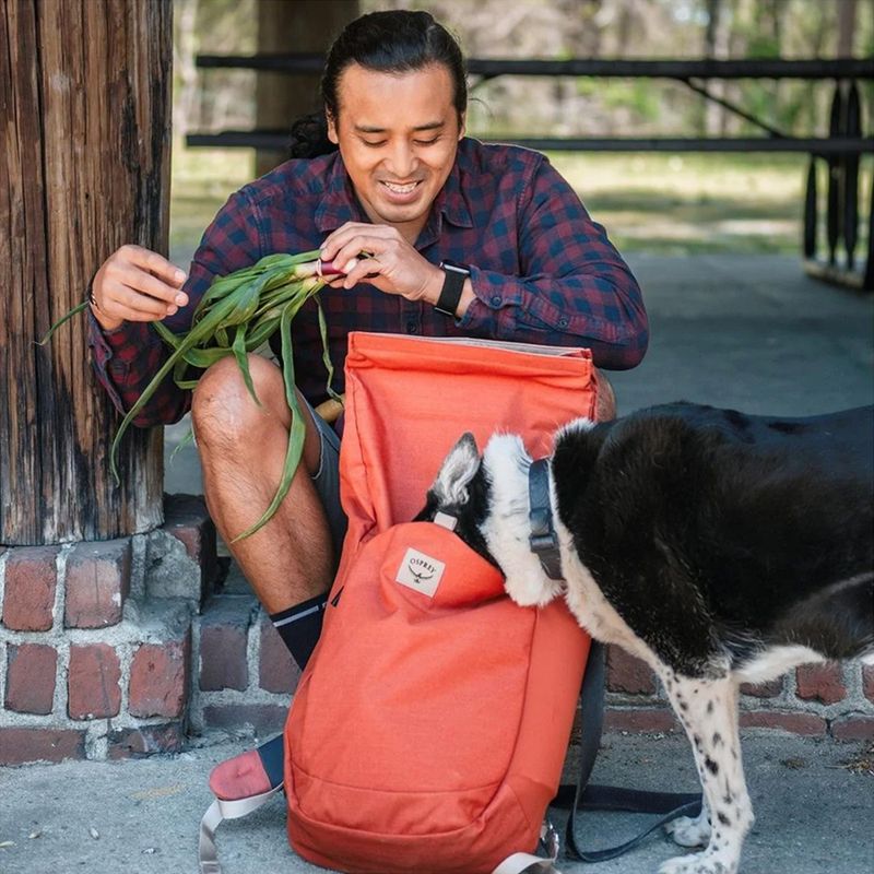 Rucsac de oraș  Osprey Arcane Roll Top Pack 22 l porcelain orange heather 13