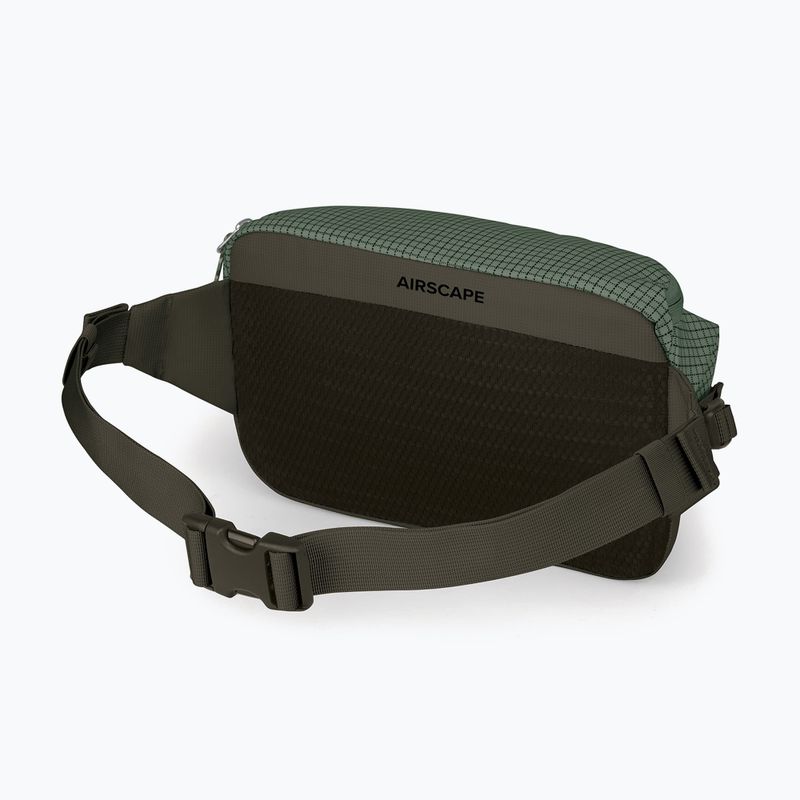 Borsetă Osprey Transporter Waist Pack 3 l pine leaf 3