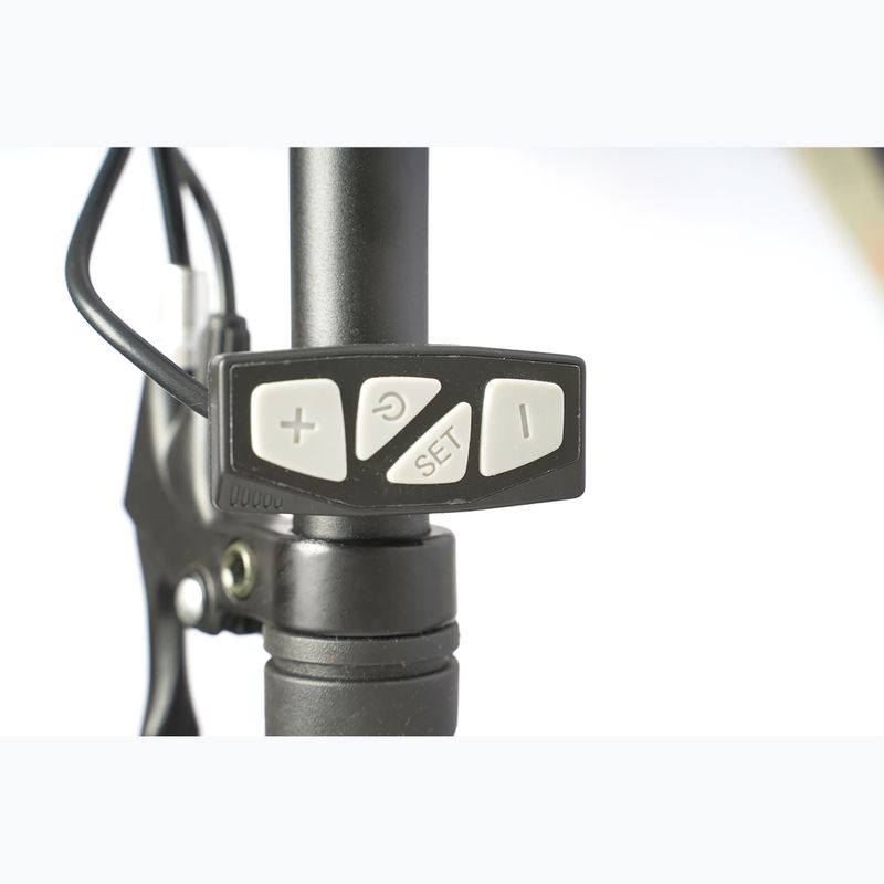 Bicicletă electrică LOVELEC Rana 36V 16Ah 576Wh beige/black 5