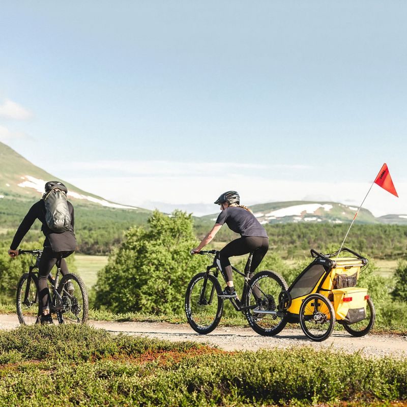 Cărucior de bicicletă Thule Chariot Sport 1, galben, 10201022 8