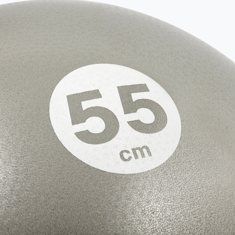 Minge de gimnastică Reebok RAB-40015BK grey 3