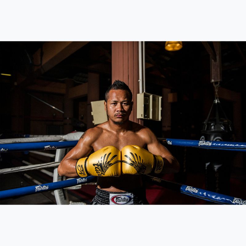 Mănuși de box Fairtex Universal "Tight-Fit" Design Falcon gold 2