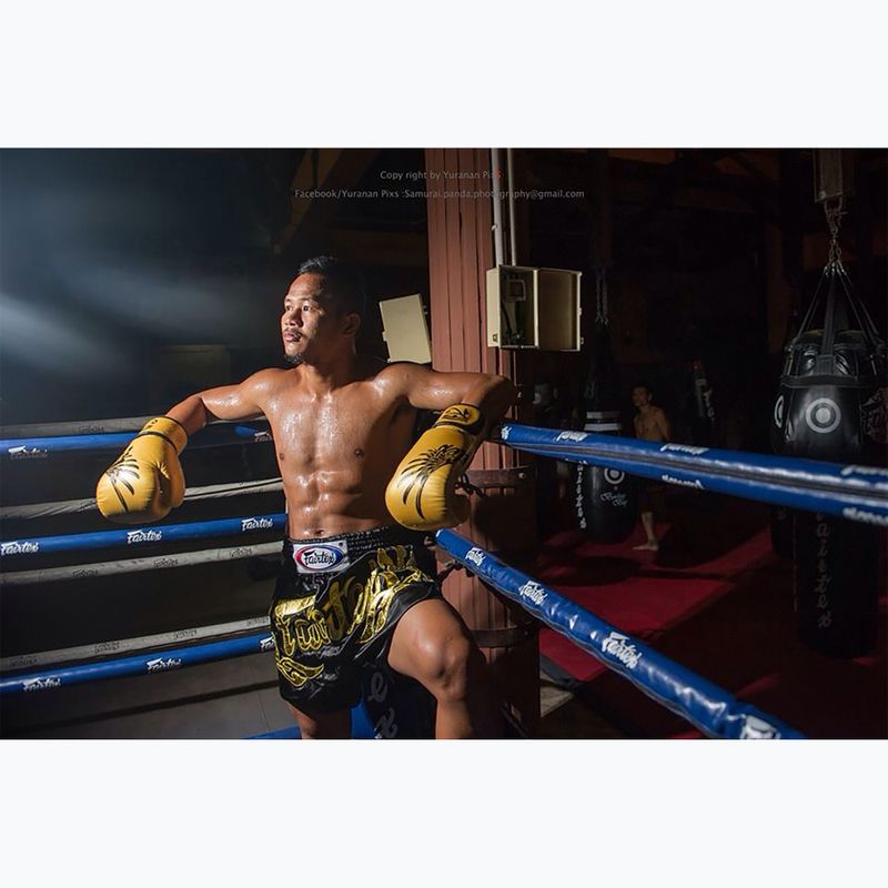 Mănuși de box Fairtex Universal "Tight-Fit" Design Falcon gold 3