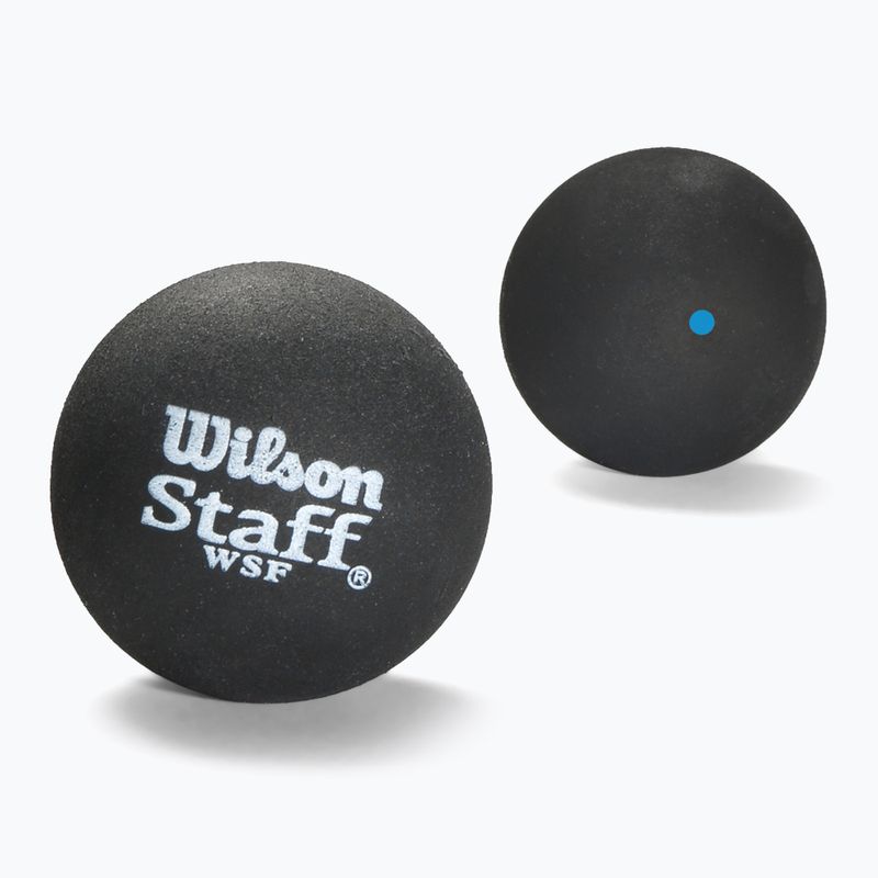 Minge de squash Wilson Staff Ball Blue Dot 3 buc. black