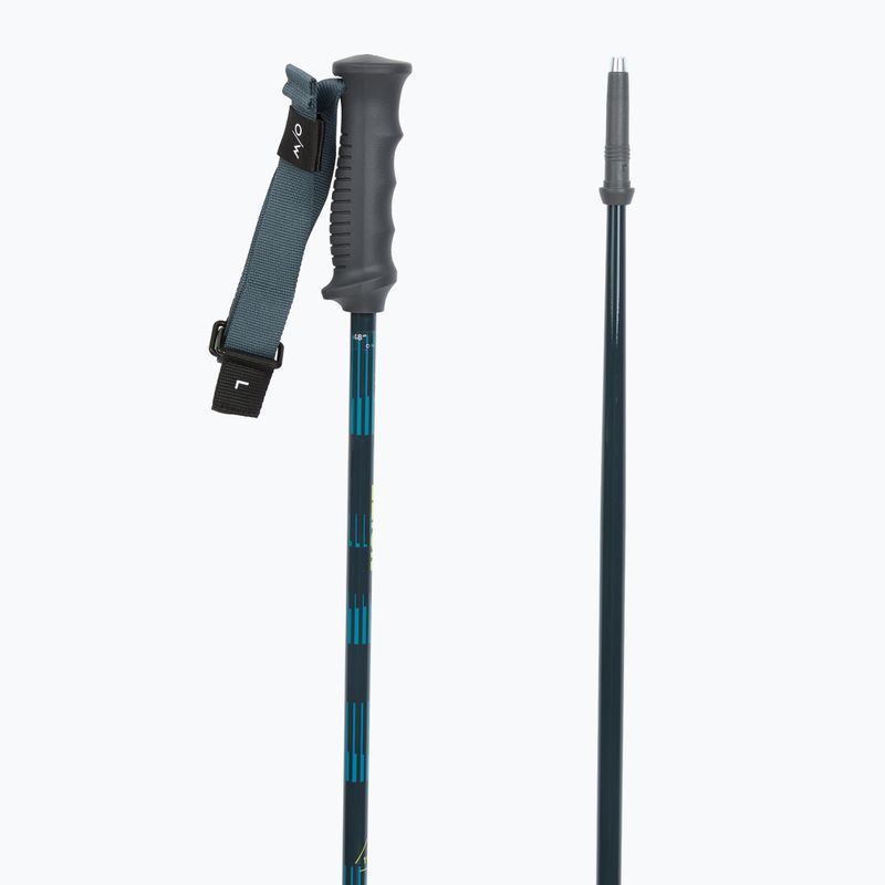 Bețe de schi Fischer RC4 Noize grey / blue 3