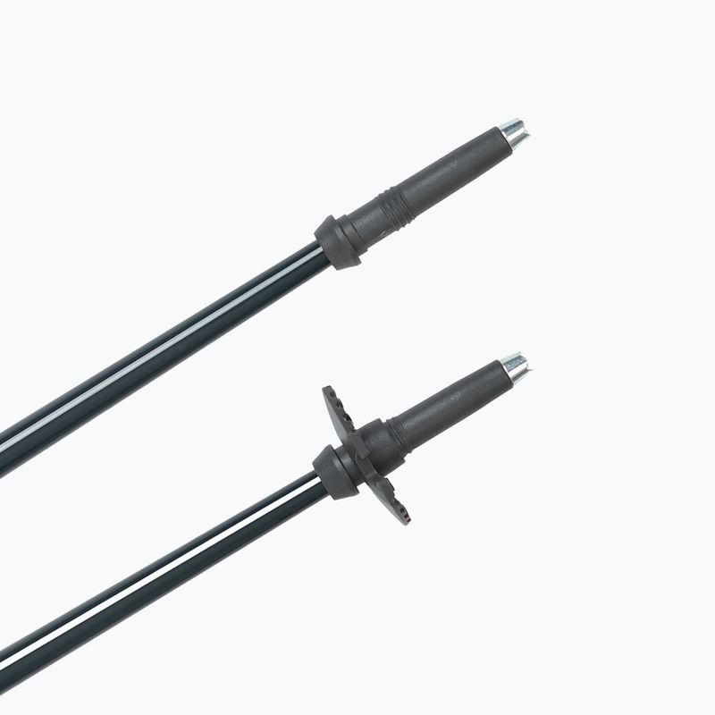 Bețe de schi Fischer RC4 Noize grey / blue 5