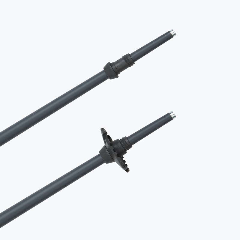 Bețe de schi Fischer Lite asphalt grey 5