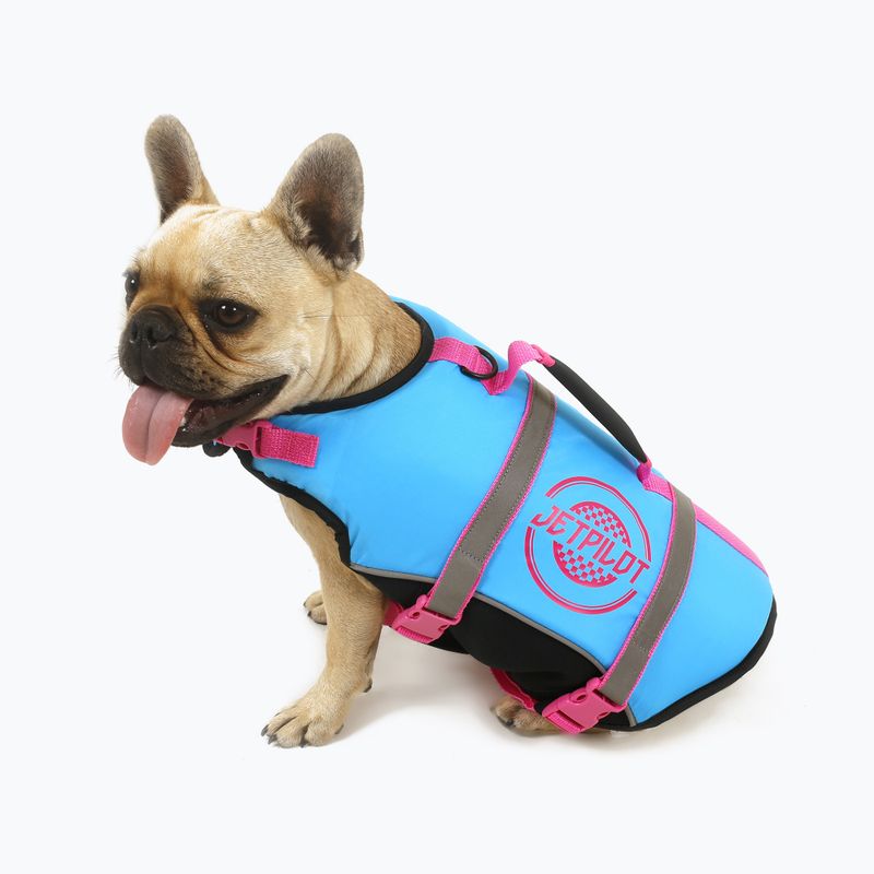 Jetpilot Dog Vest albastru 1912904