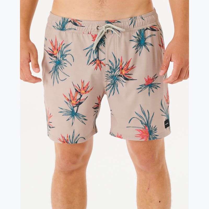 Pantaloni scurți pentru băbrați Rip Curl Paradiso Volley 5067 bej 03DMBO 4
