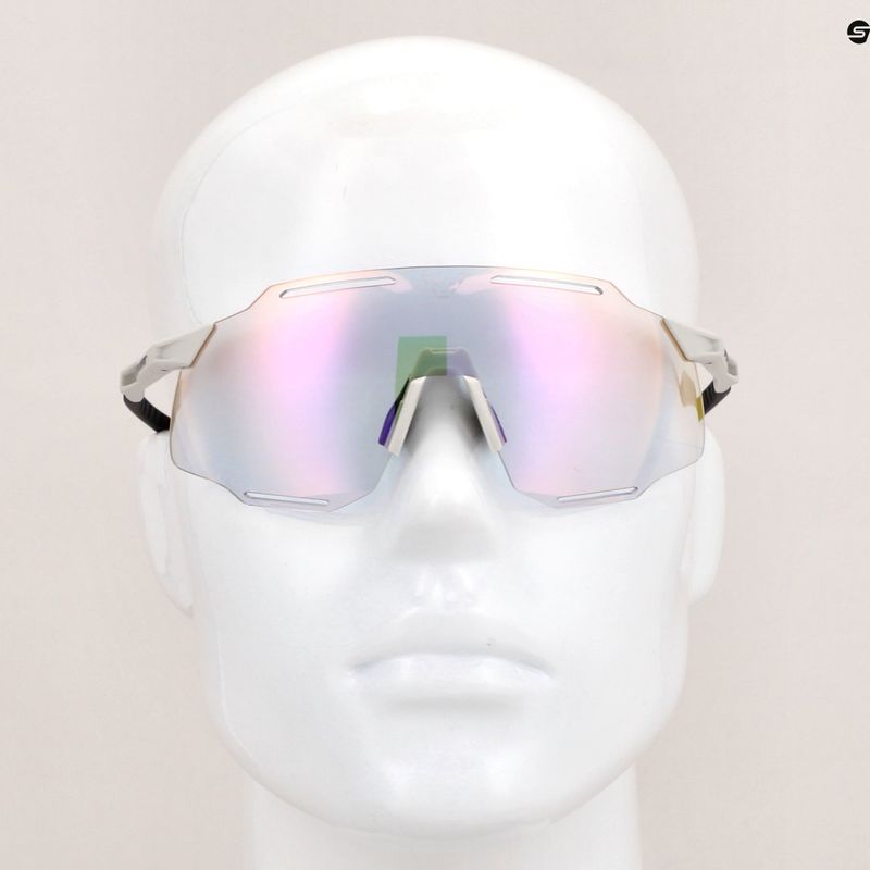 Ochelari de soare DYNAFIT Alpine Evo nimbus/black out 7