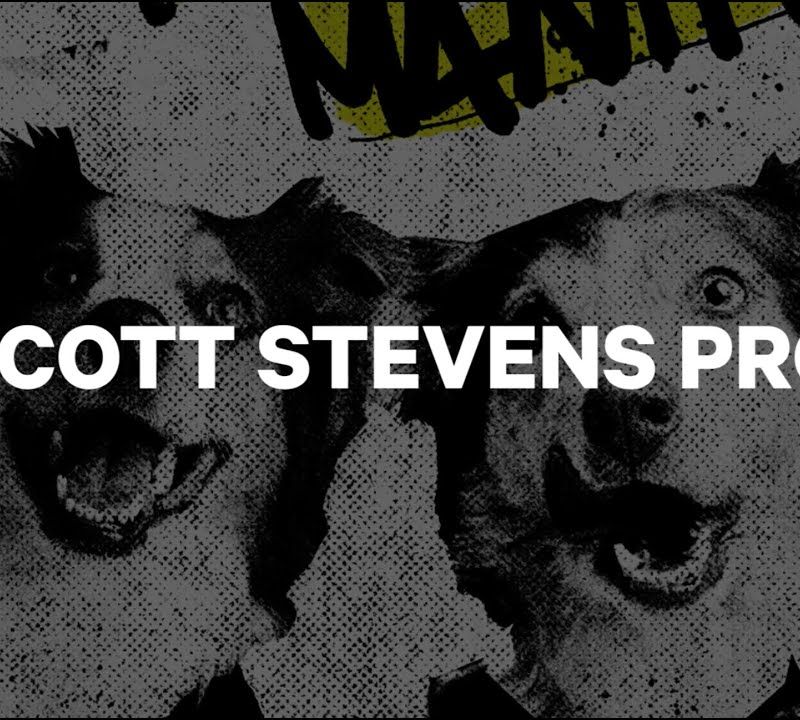 Bărbați CAPiTA Scott Stevens Pro snowboard negru/alb 1211127/155 3