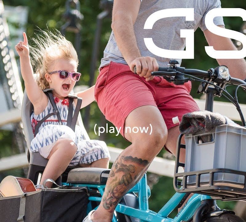 Bicicletă electrică Tern GSD S10 Cargo Lina violet 16