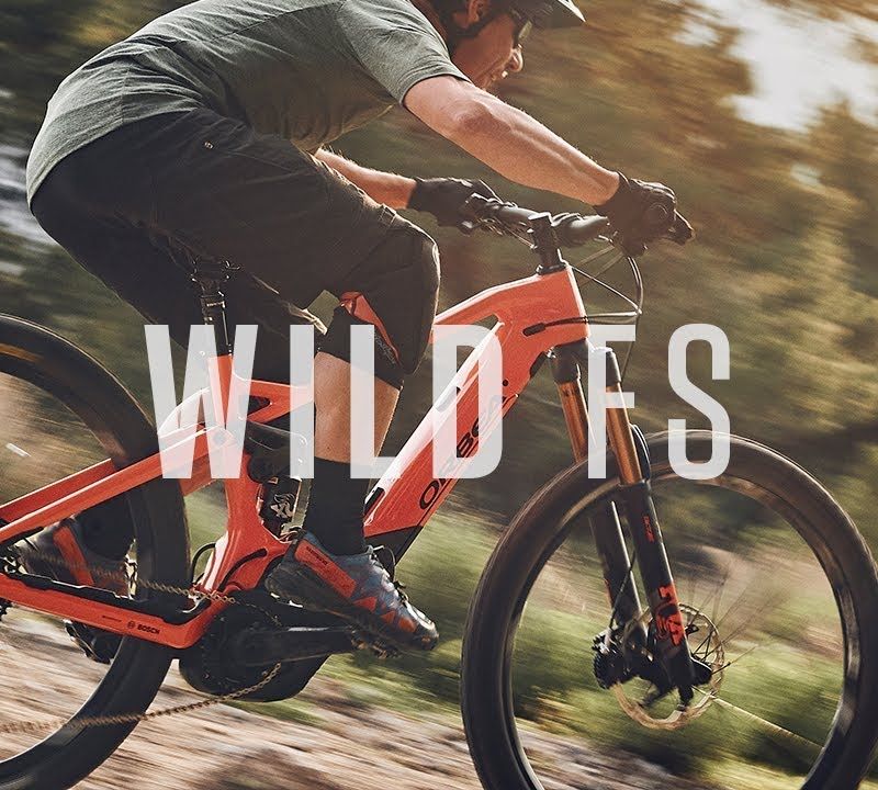Bicicleta electrică Orbea Wild FS H10 argint M34718WB 14
