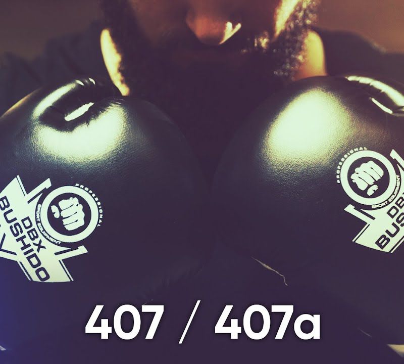 Mănuși de box DBX BUSHIDO ARB-407 negre/albe 23