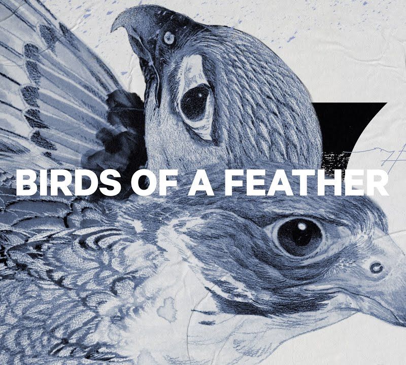 Snowboard pentru femei CAPiTA Birds Of A Feather 1221108 5