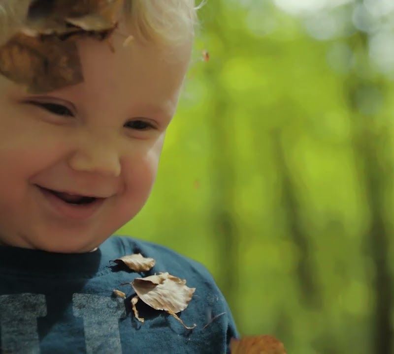 Thule Chariot Cross remorcă dublă pentru biciclete, albastru 10202023 14