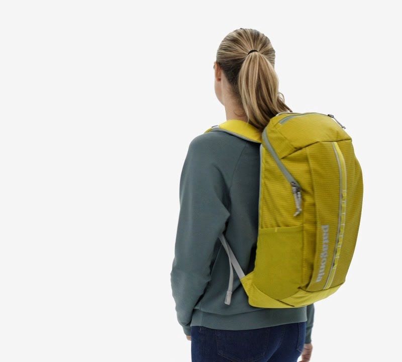 Rucsac turistic Patagonia Black Hole Pack 25 l shrub green 7