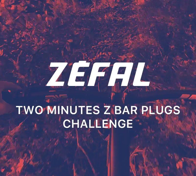 Petice pentru anvelopele fără cameră de aer Zefal Z Bar Plugs Tubeless Repair Kit 9