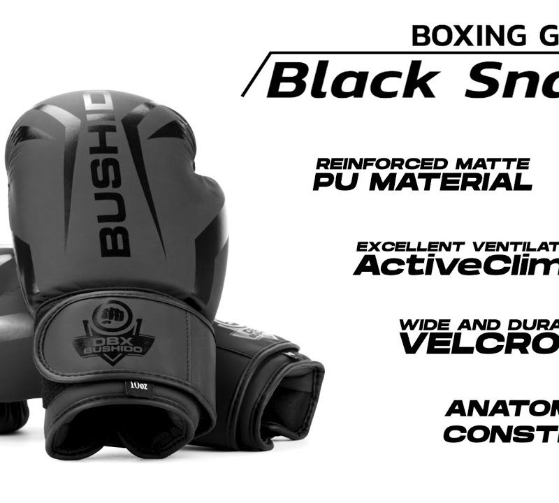 Mănuși de box DBX BUSHIDO 'Raptor' negru 12