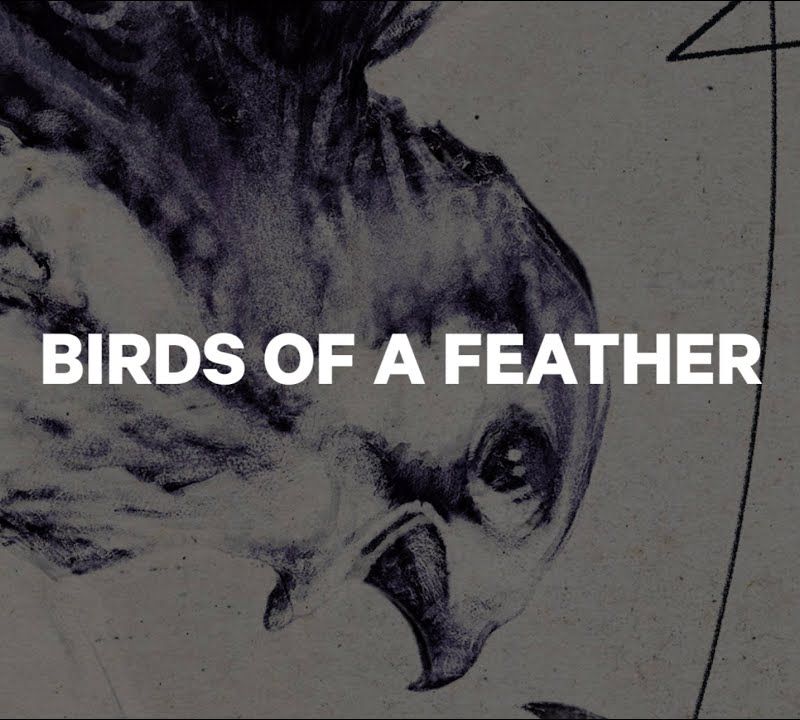 Snowboard CAPiTA Birds of A Feather Wide, alb, 1211120 5