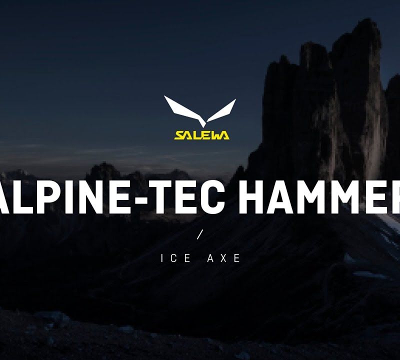 Salewa Alpine-Tec Hammer 3990 albastru închis 00-0000001756 8