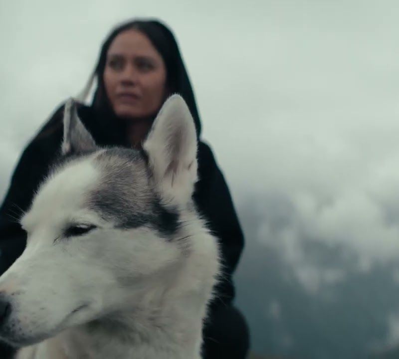 Cutie de acoperiș Thule Motion 3 XL black glossy 10