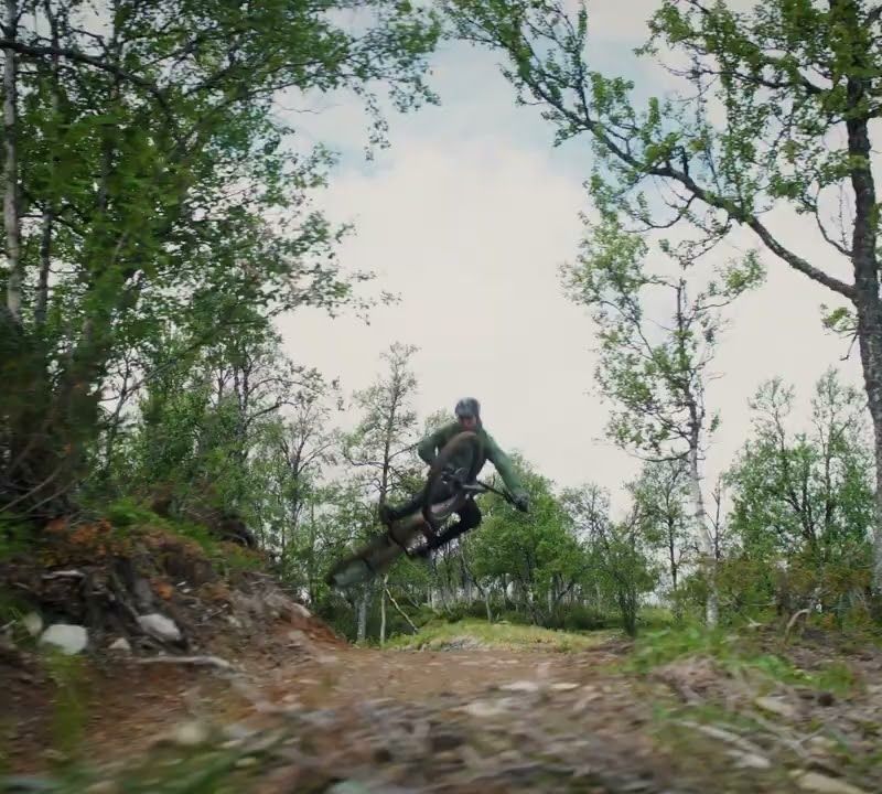 Suport cârlig auto pentru bicicletă Thule Easyfold XT 2B 13Pin 933100 13