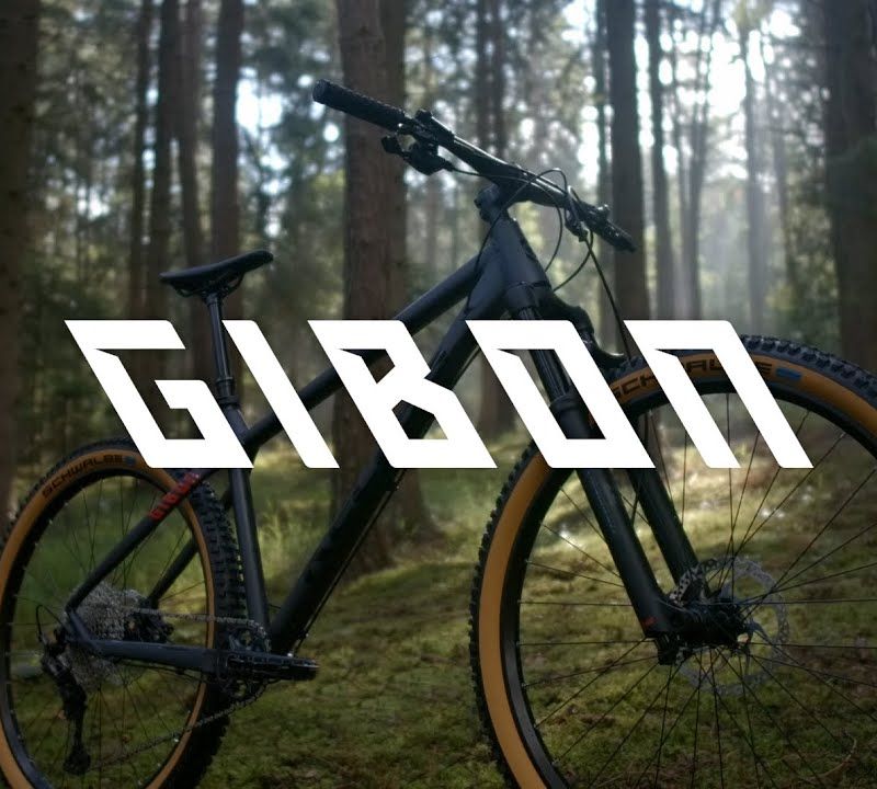 Kellys Gibon 30 27.5 Silver mountain bike 72133 16