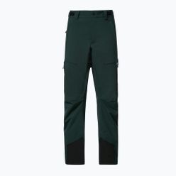 Pantaloni de snowboard pentru bărbați Oakley Axis Insulated verde FOA403446