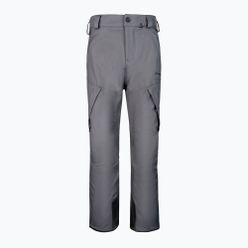 Pantaloni de snowboard pentru bărbați Volcom New Articulated gri G1352211-DGR