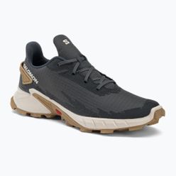 Pantofi de trail pentru bărbați Salomon Alphacross 4 gri L41724100